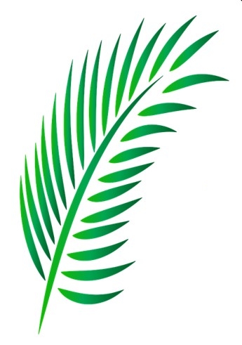 Palmup Création de site Internet Genève